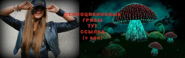 соль курить ск Арсеньев
