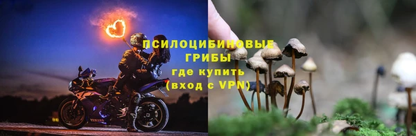 ALPHA-PVP Аркадак