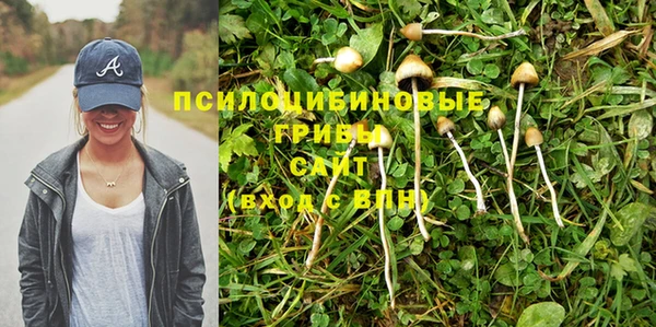 соль курить ск Арсеньев