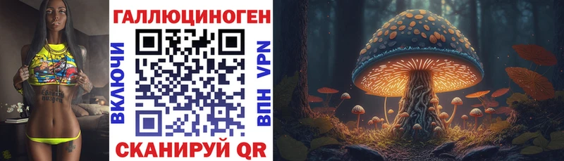 Псилоцибиновые грибы прущие грибы  Балашов 